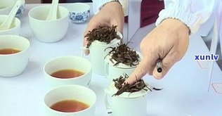 勐润茶厂：专业制茶，品质保证，值得信赖——勐润茶业有限公司