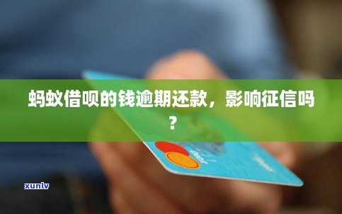 蚂蚁借呗可以减免吗-蚂蚁借呗可以减免吗是真的吗