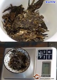 九玖普洱茶多少钱一饼？了解云南九玖茶业、玖秒普洱茶、九九印普洱茶与云茶集团九玖普洱的区别！