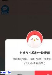 蚂蚁花呗会通知父母吗？知乎用户分享经验及关闭 *** 