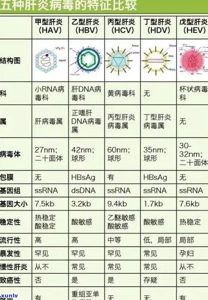 吉普号普洱茶分类等级划分与价格、档次解析，一文了解吉普号普洱茶全貌