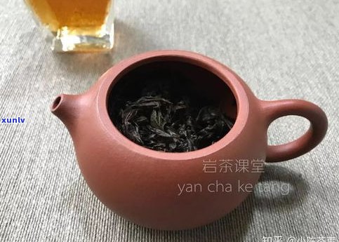 煮普洱茶用什么锅更好？怎样选择适合的煮茶器？