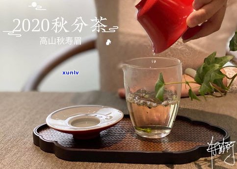 煮普洱茶用什么锅好？选择适合的煮茶器让口感更佳