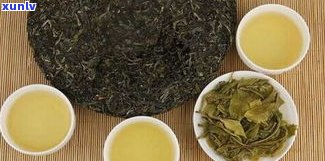 普洱茶：如何区分生茶与熟茶，以及它们的优劣和区别