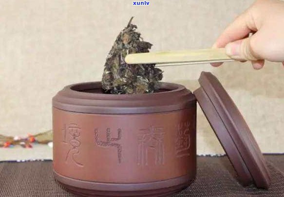 装普洱茶陶瓷盒子能放多久？如何正确保存以防止变质？