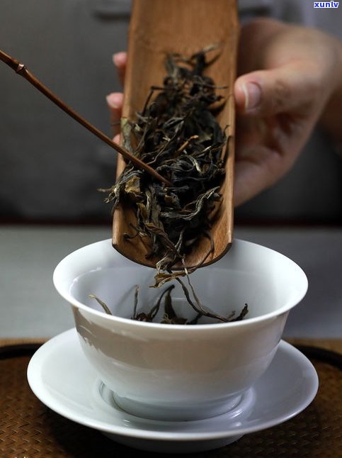 古树普洱茶：红茶？黑茶？区别是什么？