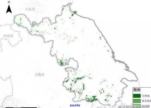 普洱茶主要分布地区：揭秘其广泛覆盖的地域