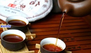普洱茶经典语录大全：品味人生与茶的故事