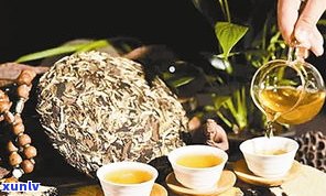 普洱茶经典语录大全：品味人生与茶的故事