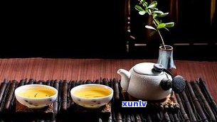 普洱茶经典语录大全：品味人生与茶的故事