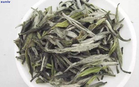 安溪白茶：绿茶还是白茶？探讨其分类与特点