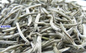 安溪白茶：绿茶还是白茶？探讨其分类与特点