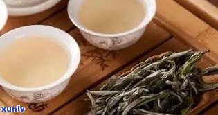 安溪白普洱茶图片-安溪白茶价格图片大全