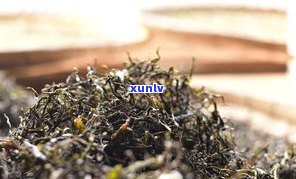 坝卡龙普洱茶价格与特点全解析：古树茶与囡茶区别探讨