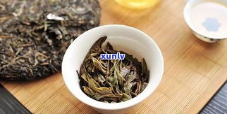班盆普洱生茶价格及熟茶特点，口感描述，古树茶特性