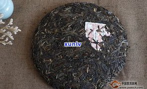 班盆普洱生茶价格及熟茶特点，口感描述，古树茶特性