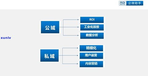 普洱茶品牌供应链：如何选择合适的供应商和渠道？