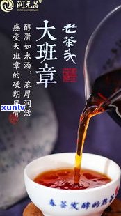 中老年普洱茶价值-中老年普洱茶价值多少