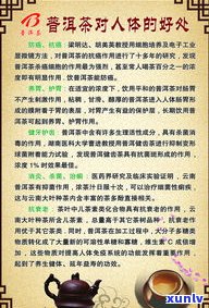 红印普洱价格图片全解析：含义、价格与高清图集