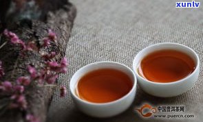 普洱茶的配方及其功效解析