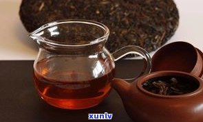 几壶春云南普洱茶-几壶春云南普洱茶生茶免撬