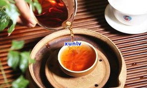 桔普洱茶十大牌子-桔普茶品牌排行榜