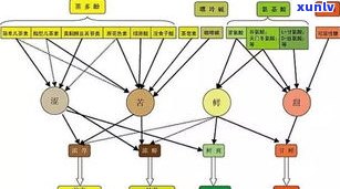 普洱茶拼配与配方比例详解：经典拼配配方比例一览