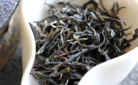 普洱茶：大叶种与小叶种的区别及口感比较