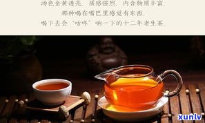 陈年普洱茶汤：色泽与口感全解析，高清图片大 *** 