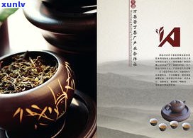 河源茶叶品牌大全：排行榜及推荐