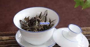 普洱茶如何冲泡出好喝又香的茶汤？