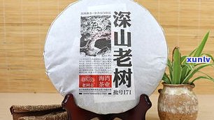 老同志普洱茶那一年熟茶：价格、收藏价值与由来，哪款最值得珍藏？