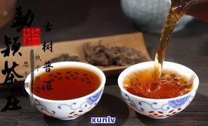 普洱茶知识普及：全面了解普洱茶的历史、种类、冲泡 *** 和保健功效