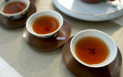 金鼎茶厂普洱茶：品质、真伪、保存与冲泡全攻略