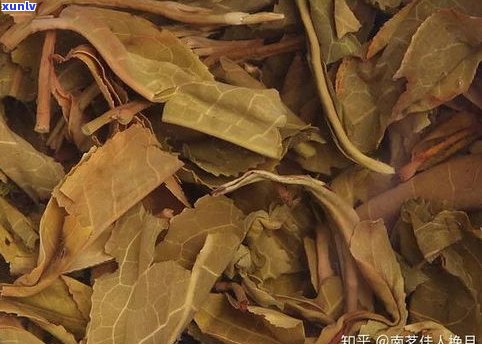 熟普洱茶渣很碎不存在叶子：起因、解决  与是不是正常？