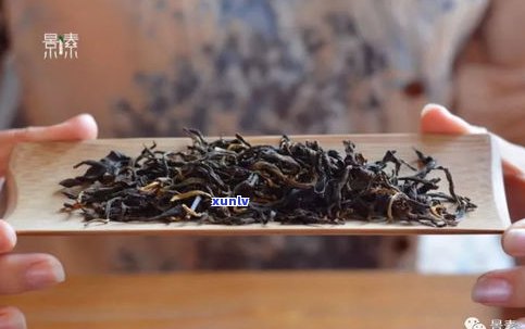 普洱茶有鱼腥味：原因解析与品质判断