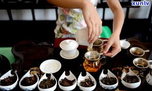 普洱茶的品种管理包括：种类、品质关键与具体内容