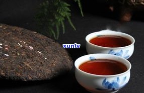 普洱茶南糯茶山：特点、价格全解析