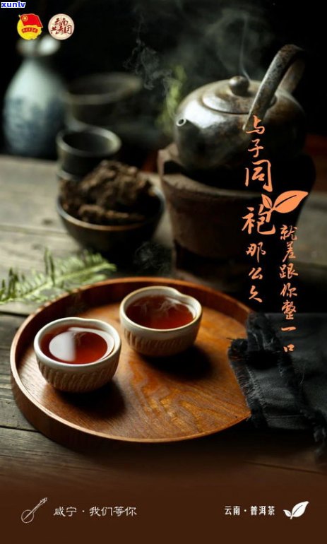 五指毛桃普洱茶煮水喝的好处：健康养生的秘密武器