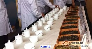 珠海普洱茶生产厂-珠海普洱茶生产厂家