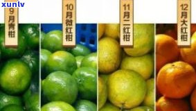 福柑源陈皮：品质、价格与加工 *** 全解析