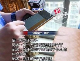 没逾期信用卡打  为何？天天催债  作用大吗？