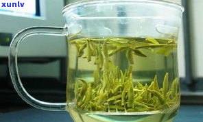 高山茶和绿茶哪个好？比较它们的味道、品质和产地差异。