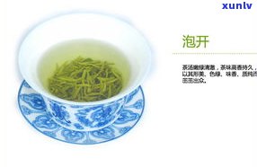 高山绿茶和普洱茶-高山绿茶和普洱茶哪个好