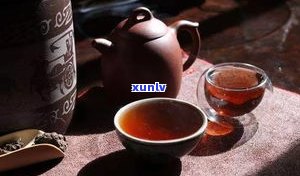 陈普洱茶能喝吗？了解其是否适合饮用及其健康益处