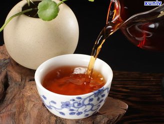 现在谁做普洱茶好一点？比较市面上知名品牌的优劣