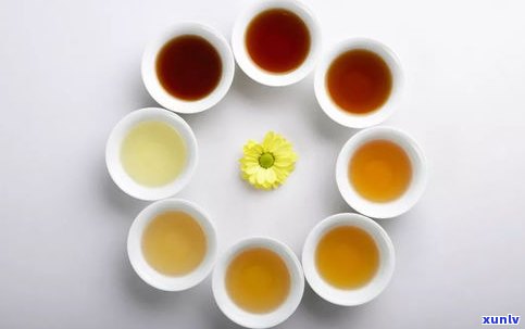 圆柱体的茶叶是什么茶？探讨其种类、类别与形状特点