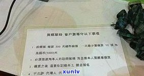 缅甸玉石原料价格狂飙，可否入境？详细视频解说与最新行情