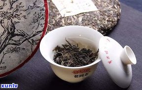 帕沙犀牛塘普洱茶-帕沙犀牛塘普洱茶价格