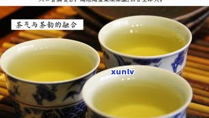 帕沙犀牛塘普洱茶-帕沙犀牛塘普洱茶价格